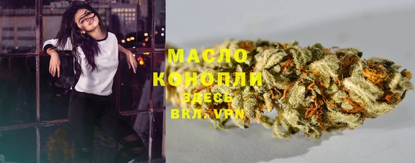 крисы Дмитров