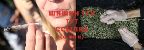 крисы Дмитров