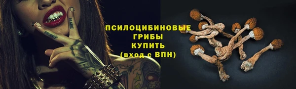 ALPHA PVP Дмитриев
