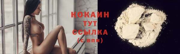 крисы Дмитров