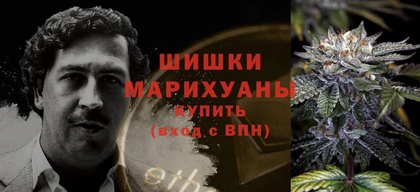 крисы Дмитров