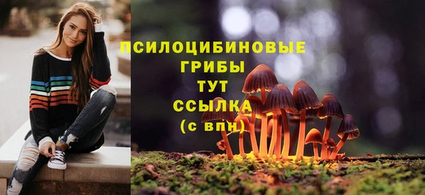 марки nbome Дмитровск