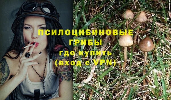 марки nbome Дмитровск